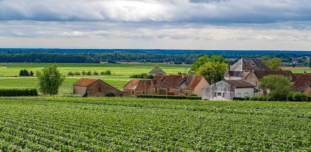 Vignoble Bourgogne