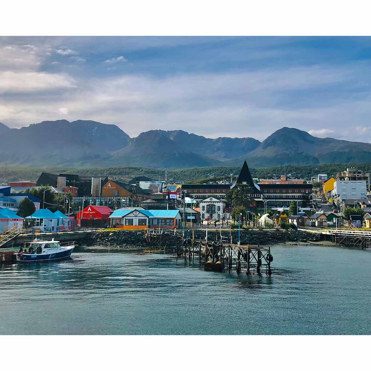 Ushuaia Beagle