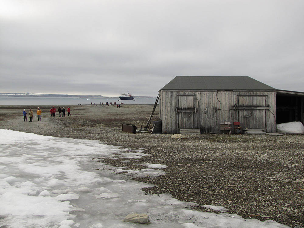 Kinnvika Murchisonfjord