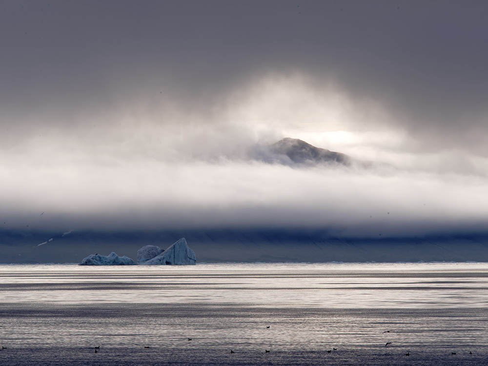 Île Spitzberg Brume