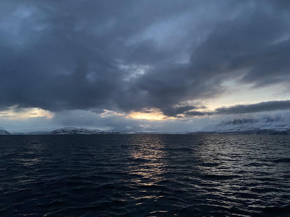 Croisière Lofoten 