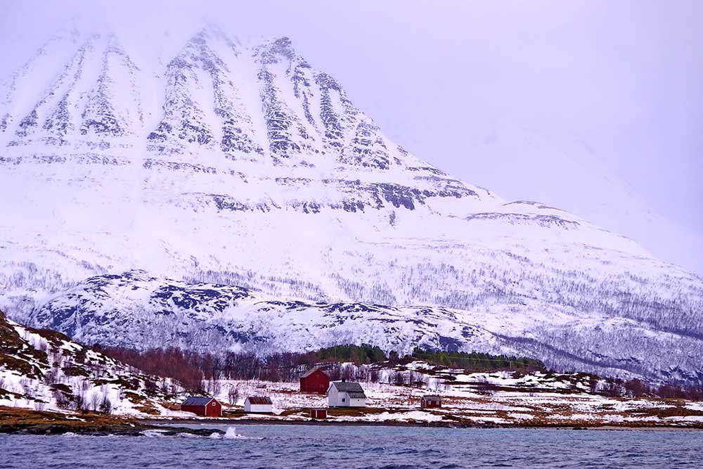 Follesoya Norvège