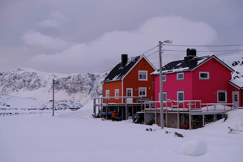 Kamoysvaer Norvège