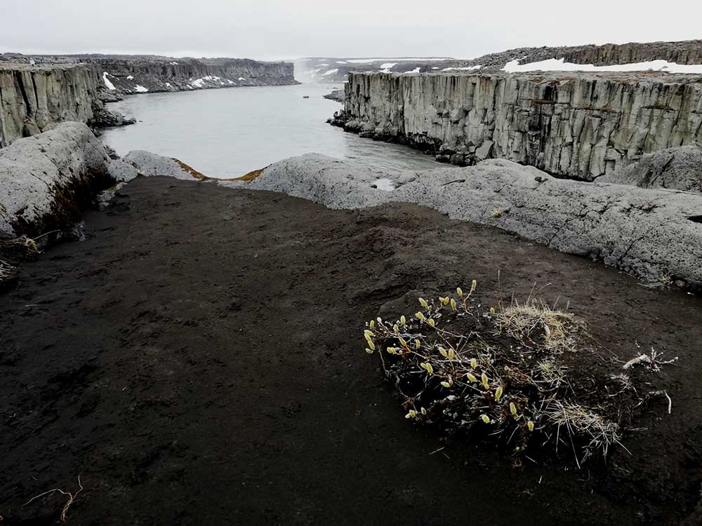 Islande 2022 