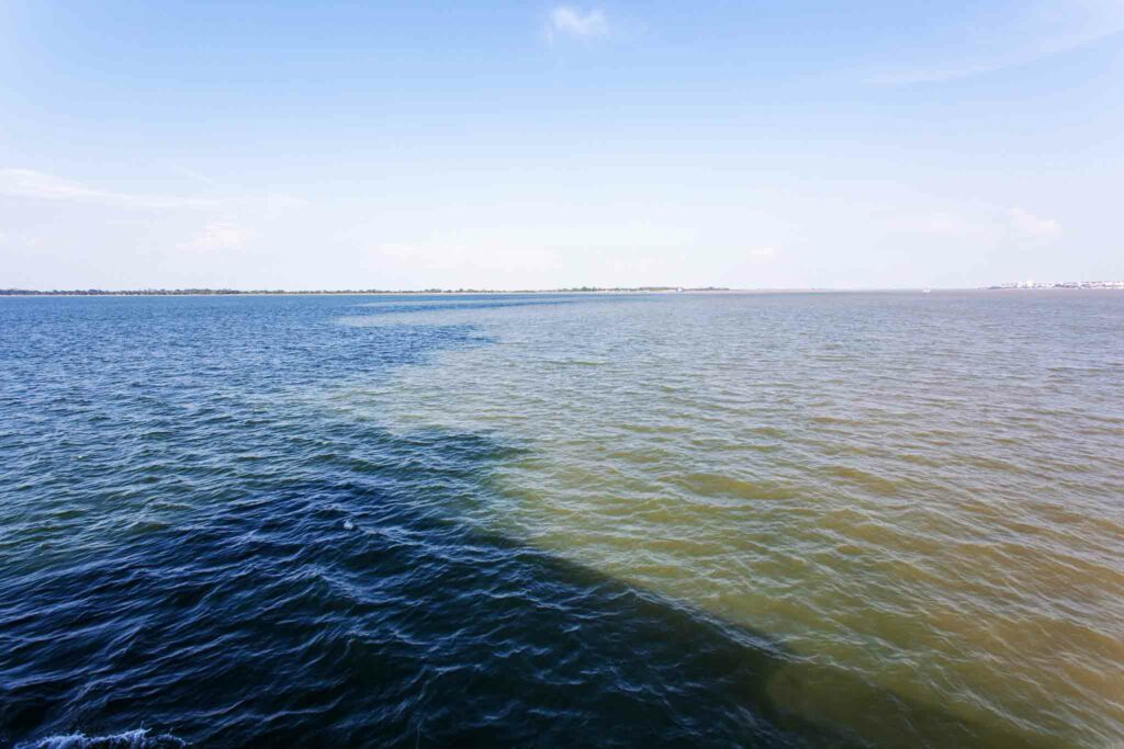 Amazonie Rencontre des eaux