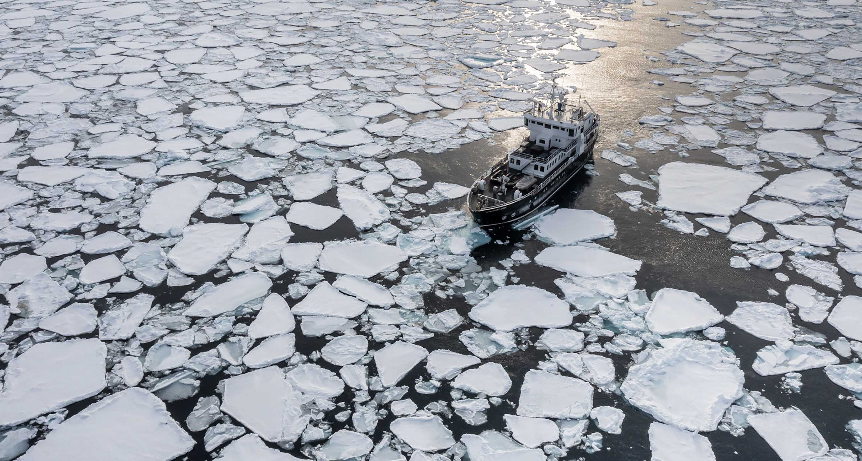 Explorer Banquise Spitzberg Storfjord