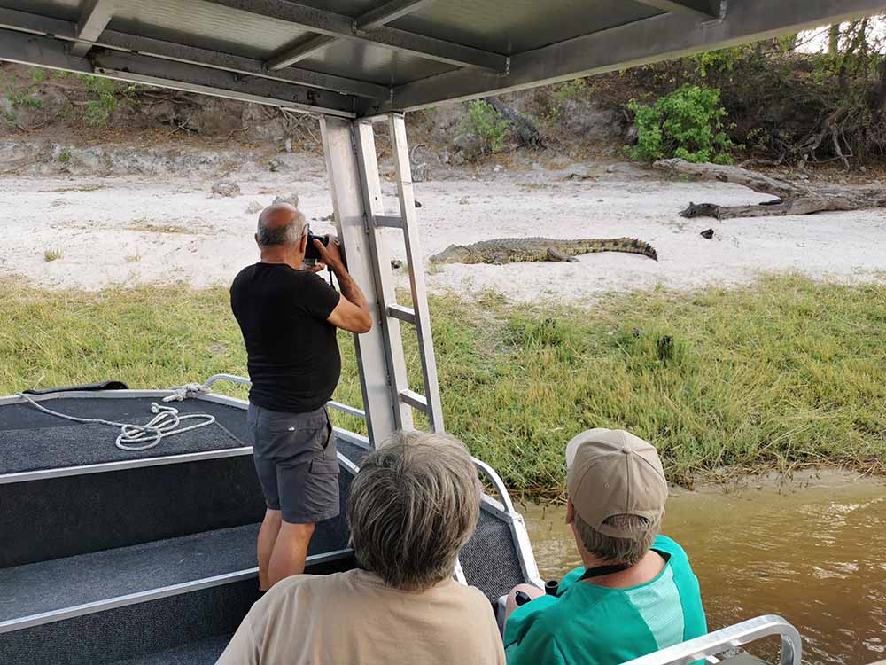 Crocodile Zambeze