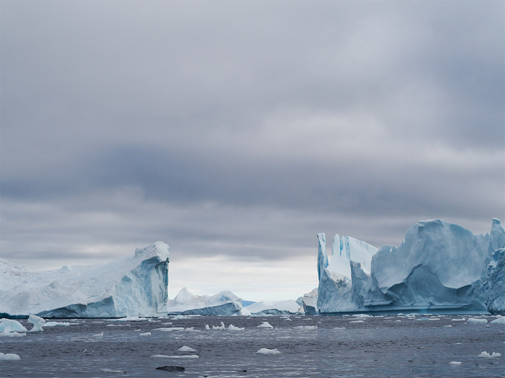Mer bordée par les falaises de glace