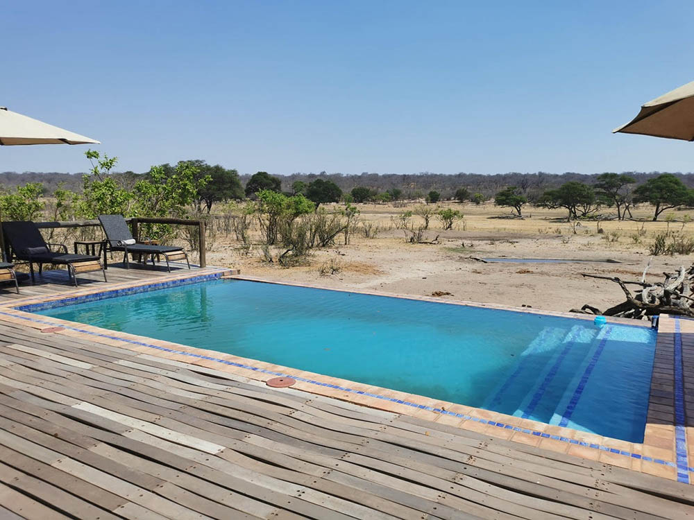 Piscine lodge savane