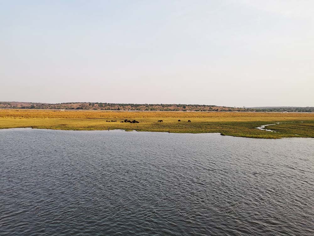 Zambeze - Chobe