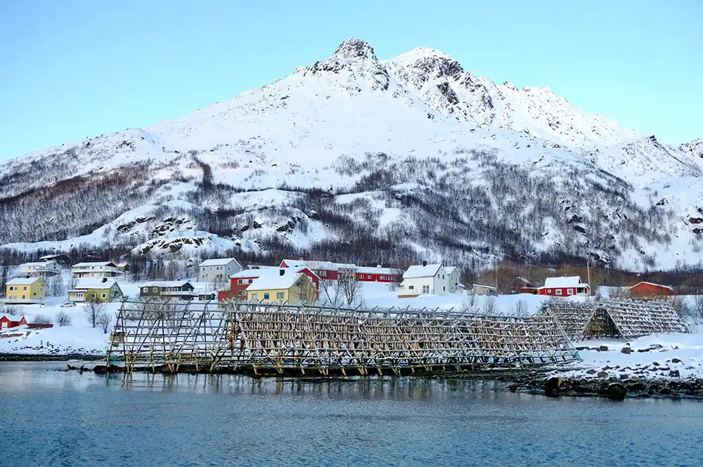 Bergsfjord Norvège