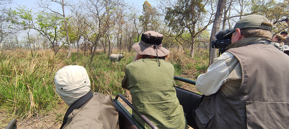 Rhinocéros Inde et Népal