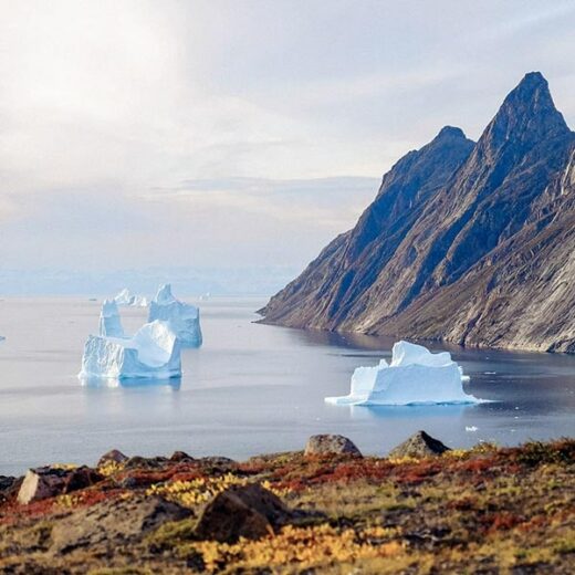 Scoresby Sund Groenland Croisière Polaire