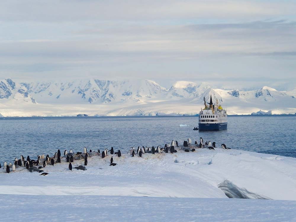 Ocean Nova manchots antarctique