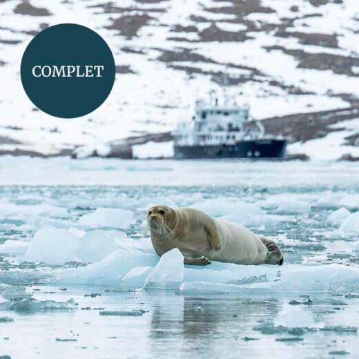 Brasvelbreen Svalbard