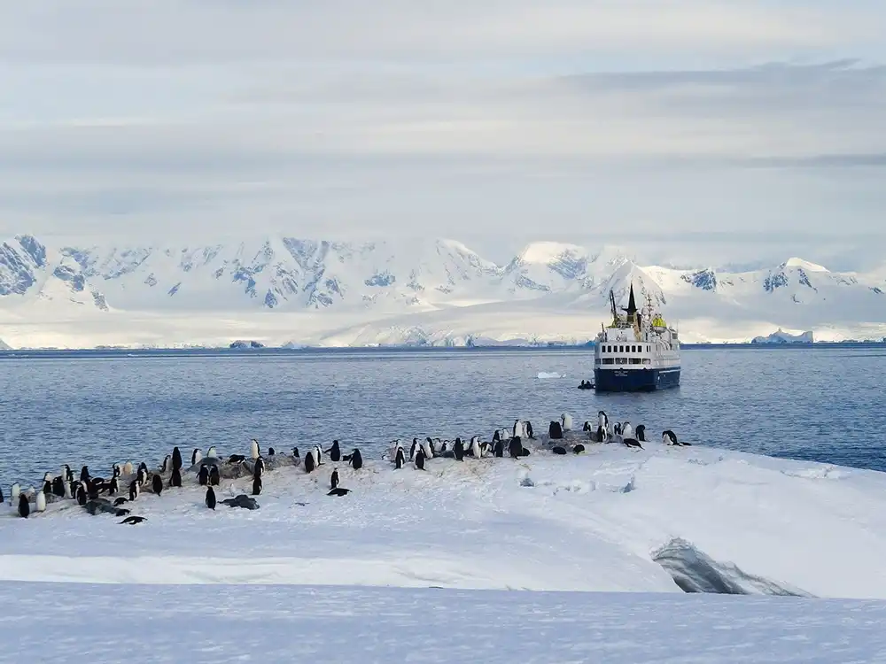 Ocean Nova Péninsule Antarctique