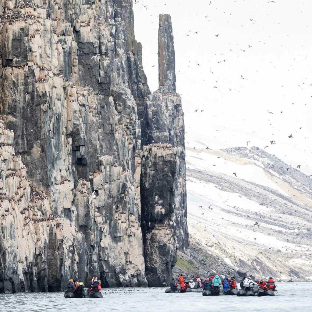 Zodiac et Guillemots Falaises Alkefjelett Spitzberg