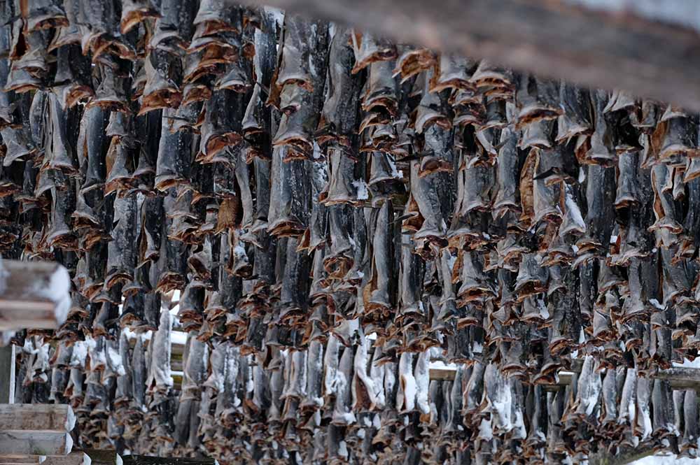 Séchoir morues Norvège