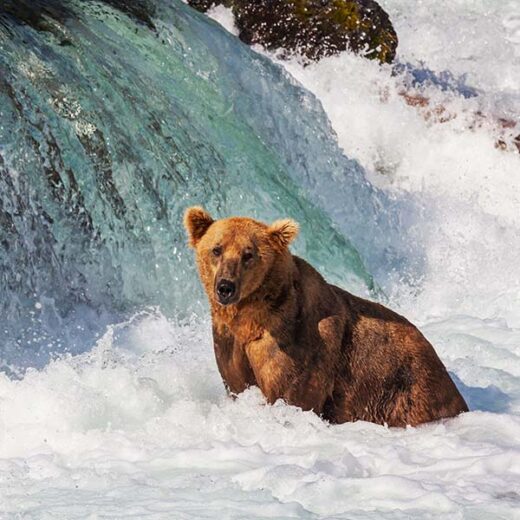 Voyage Alaska