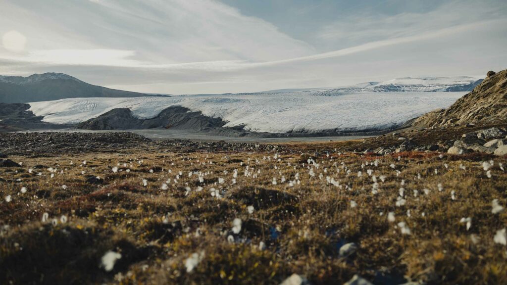 Toundra nord-est Groenland