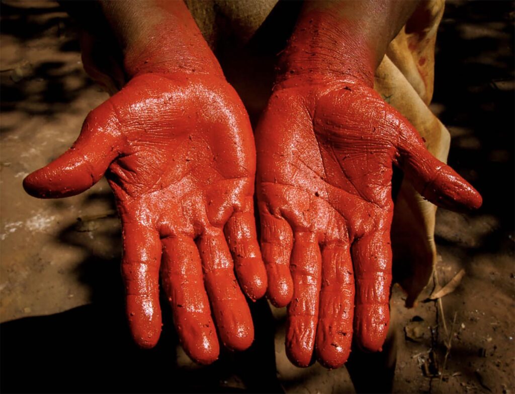 PRÉPARATION PEINTURE DE ROUCOU XINGU Amazonie