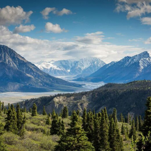 Whitehorse Canada - joris-beugels-D5MG5J2e-hE-unsplash copie