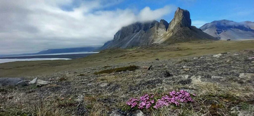 Islande