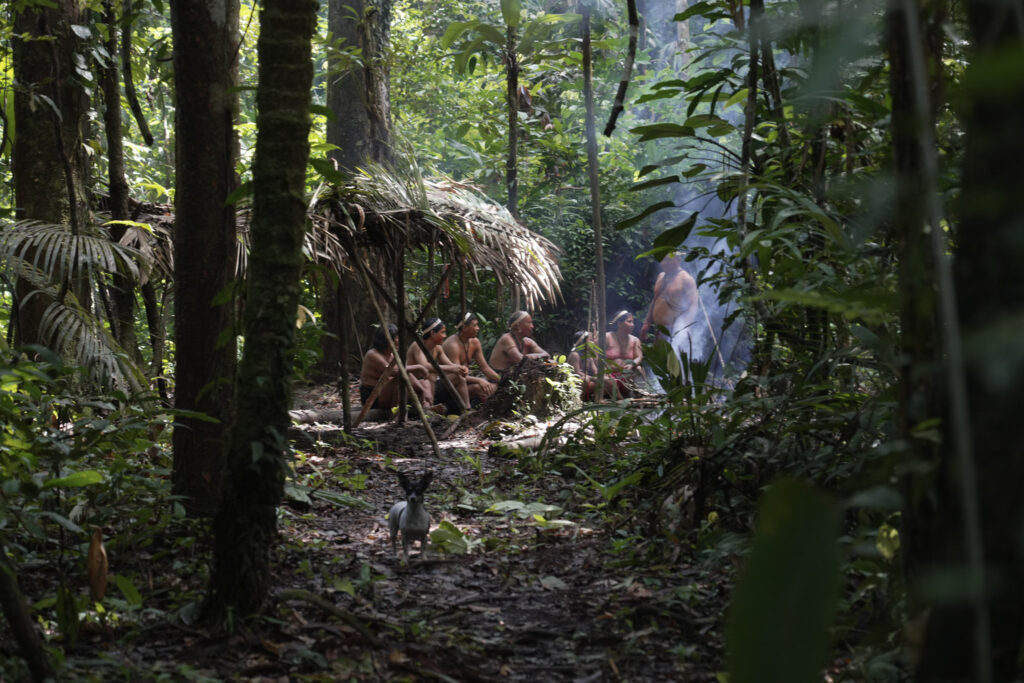 Matis Amazonie