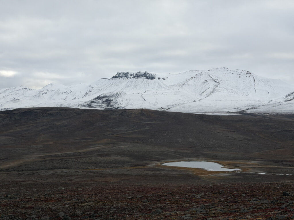Vega Sund - Groenland